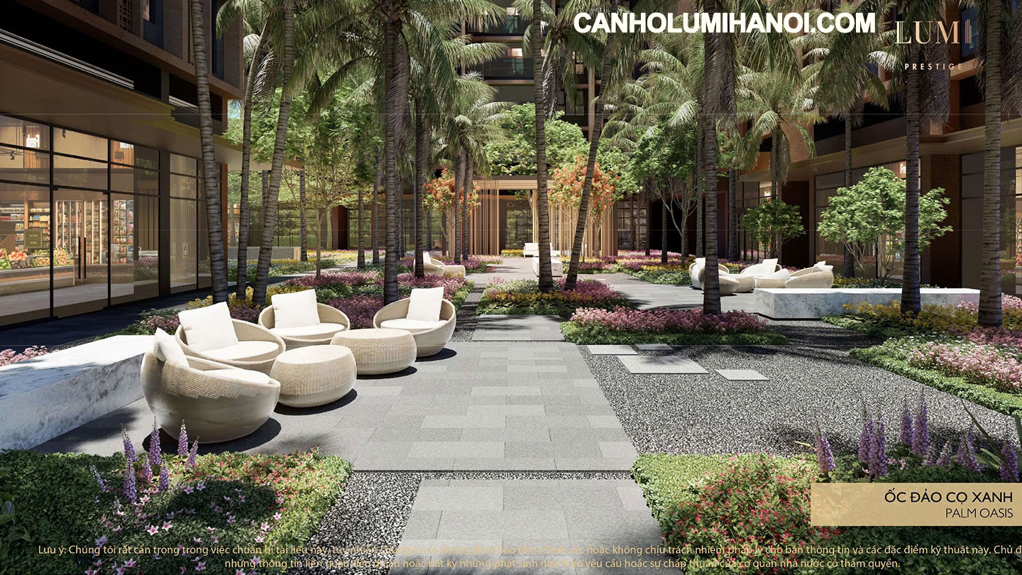 Ốc đảo Cọ Xanh - Palm Oasis