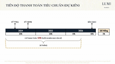 Chính sách bán hàng Lumi Hà Nội