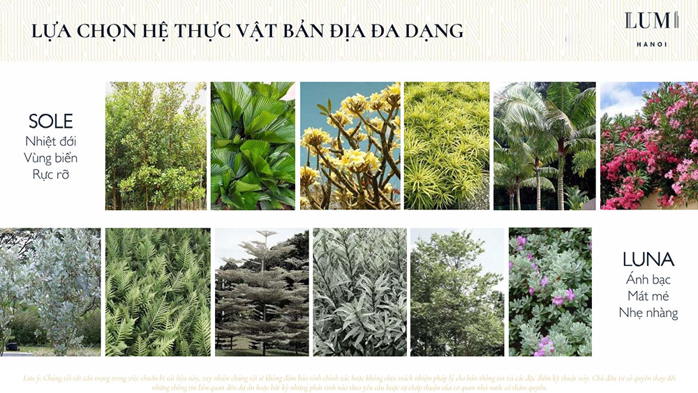 Thảm thực vật đặc sắc tại Căn hộ Lumi Hà Nội